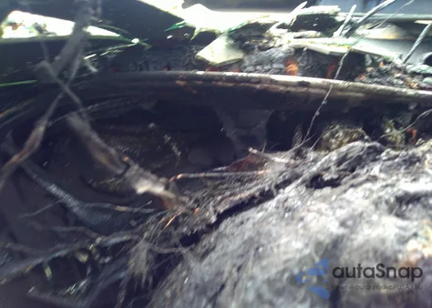 2022 Dodge Challenger R/T Scat Pack z USA, uszkodzony, nr VIN 2C3CDZFJ7NH132427